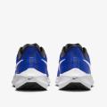 Мужские кроссовки Nike Air Zoom Pegasus 39 - DH4071-400