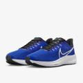 Мужские кроссовки Nike Air Zoom Pegasus 39 - DH4071-400
