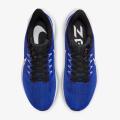 Мужские кроссовки Nike Air Zoom Pegasus 39 - DH4071-400