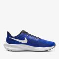 Мужские кроссовки Nike Air Zoom Pegasus 39 - DH4071-400
