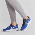 Мужские кроссовки Nike Air Zoom Pegasus 39 - DH4071-400