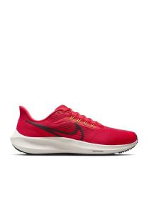 Мужские кроссовки Nike Air Zoom Pegasus 39 - DH4071-600