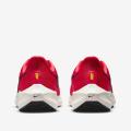 Мужские кроссовки Nike Air Zoom Pegasus 39 - DH4071-600