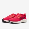 Мужские кроссовки Nike Air Zoom Pegasus 39 - DH4071-600