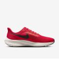 Мужские кроссовки Nike Air Zoom Pegasus 39 - DH4071-600