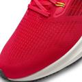 Мужские кроссовки Nike Air Zoom Pegasus 39 - DH4071-600