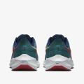 Мужские кроссовки Nike Air Zoom Pegasus 39 - DM0174-302