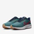 Мужские кроссовки Nike Air Zoom Pegasus 39 - DM0174-302