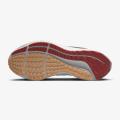 Мужские кроссовки Nike Air Zoom Pegasus 39 - DM0174-302
