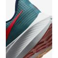 Мужские кроссовки Nike Air Zoom Pegasus 39 - DM0174-302