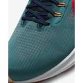 Мужские кроссовки Nike Air Zoom Pegasus 39 - DM0174-302