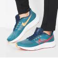 Мужские кроссовки Nike Air Zoom Pegasus 39 - DM0174-302