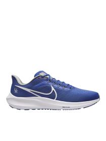 Мужские кроссовки Nike Air Zoom Pegasus 39 'Kentucky' - DR1963-400