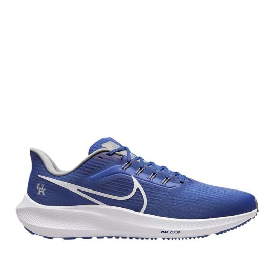 Мужские кроссовки Nike Air Zoom Pegasus 39 'Kentucky' - DR1963-400