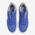 Мужские кроссовки Nike Air Zoom Pegasus 39 'Kentucky' - DR1963-400