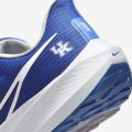 Мужские кроссовки Nike Air Zoom Pegasus 39 'Kentucky' - DR1963-400