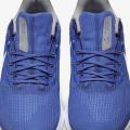 Мужские кроссовки Nike Air Zoom Pegasus 39 'Kentucky' - DR1963-400