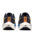Мужские кроссовки Nike Air Zoom Pegasus 39 Prm - DO9580-400