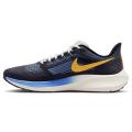 Мужские кроссовки Nike Air Zoom Pegasus 39 Prm - DO9580-400
