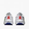 Мужские кроссовки Nike Air Zoom Pegasus 39 Prm - DX1627-100
