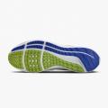 Мужские кроссовки Nike Air Zoom Pegasus 39 Prm - DX1627-100