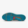 Мужские кроссовки Nike Air Zoom Pegasus 39 Shield - DO7625-200