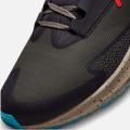 Мужские кроссовки Nike Air Zoom Pegasus 39 Shield - DO7625-200