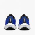 Мужские кроссовки Nike Air Zoom Pegasus 40 - DV3853-401