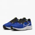 Мужские кроссовки Nike Air Zoom Pegasus 40 - DV3853-401