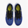 Мужские кроссовки Nike Air Zoom Pegasus 40 - DV3853-401