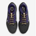 Мужские кроссовки Nike Air Zoom Pegasus 40 - DZ5946-001