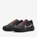 Мужские кроссовки Nike Air Zoom Pegasus 40 - DZ5982-001