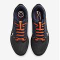 Мужские кроссовки Nike Air Zoom Pegasus 40 - DZ5982-001