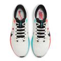 Мужские кроссовки Nike Air Zoom Pegasus 40 - FZ5055-101