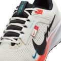 Мужские кроссовки Nike Air Zoom Pegasus 40 - FZ5055-101