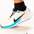 Мужские кроссовки Nike Air Zoom Pegasus 40 - FZ5055-101