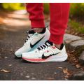 Мужские кроссовки Nike Air Zoom Pegasus 40 - FZ5055-101