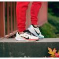 Мужские кроссовки Nike Air Zoom Pegasus 40 - FZ5055-101
