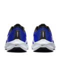 Мужские кроссовки Nike Air Zoom Pegasus 40 Wide - DV7480-401