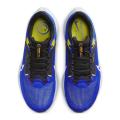 Мужские кроссовки Nike Air Zoom Pegasus 40 Wide - DV7480-401