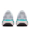 Мужские кроссовки Nike Air Zoom Pegasus 41 - FD2722-103