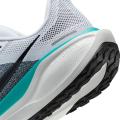 Мужские кроссовки Nike Air Zoom Pegasus 41 - FD2722-103