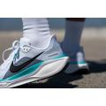 Мужские кроссовки Nike Air Zoom Pegasus 41 - FD2722-103