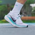 Мужские кроссовки Nike Air Zoom Pegasus 41 - FD2722-103