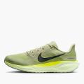 Мужские кроссовки Nike Air Zoom Pegasus 41 - FD2722-303