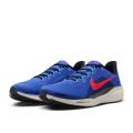 Мужские кроссовки Nike Air Zoom Pegasus 41 - FD2722-401
