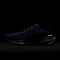 Мужские кроссовки Nike Air Zoom Pegasus 41 - FD2722-401