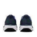 Мужские кроссовки Nike Air Zoom Pegasus 41 - FD2722-501