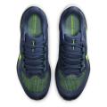 Мужские кроссовки Nike Air Zoom Pegasus 41 - FD2722-501