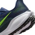 Мужские кроссовки Nike Air Zoom Pegasus 41 - FD2722-501